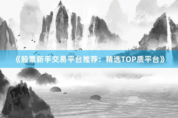 《股票新手交易平台推荐：精选TOP质平台》