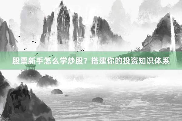 股票新手怎么学炒股？搭建你的投资知识体系
