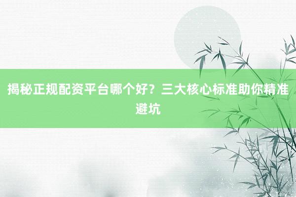 揭秘正规配资平台哪个好？三大核心标准助你精准避坑