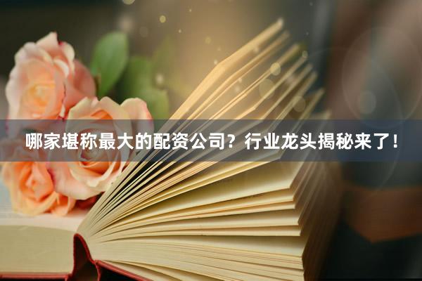 哪家堪称最大的配资公司？行业龙头揭秘来了！