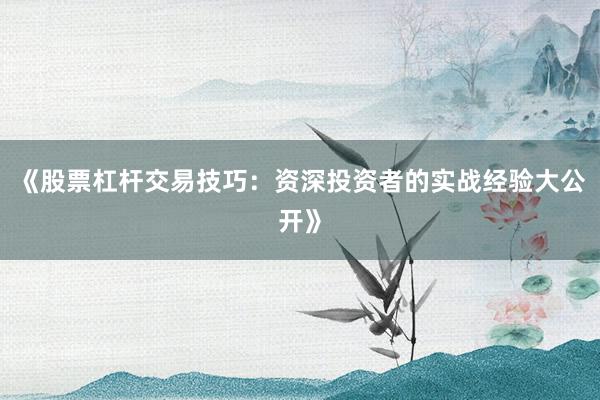 《股票杠杆交易技巧:资深投资者的实战经验大公开》
