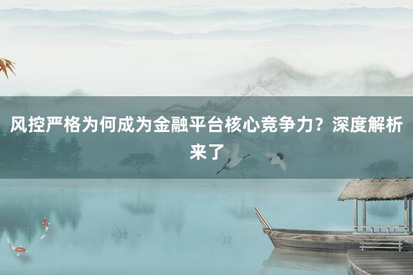 风控严格为何成为金融平台核心竞争力?深度解析来了