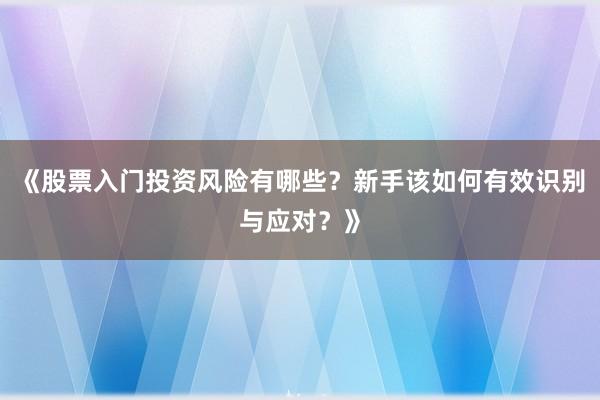 《股票入门投资风险有哪些?新手该如何有效识别与应对?》