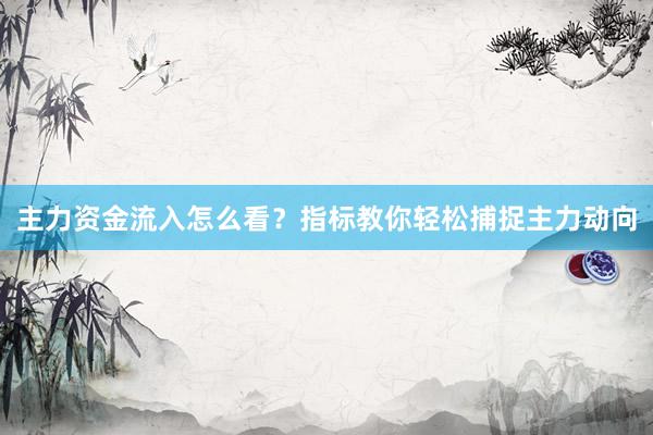 主力资金流入怎么看？指标教你轻松捕捉主力动向