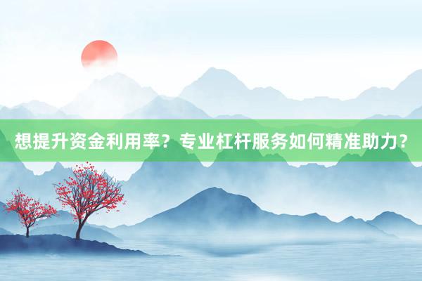想提升资金利用率？专业杠杆服务如何精准助力？