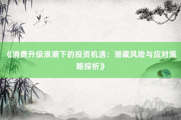 《消费升级浪潮下的投资机遇：潜藏风险与应对策略探析》