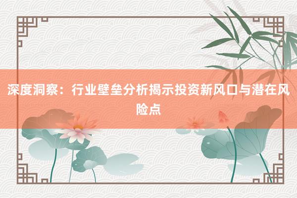 深度洞察：行业壁垒分析揭示投资新风口与潜在风险点