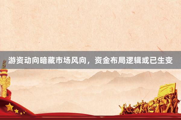 游资动向暗藏市场风向，资金布局逻辑或已生变
