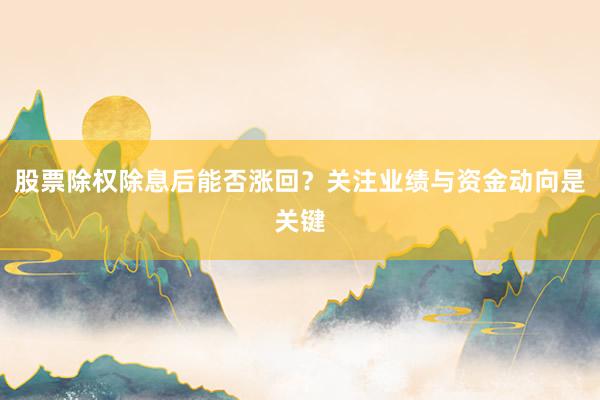 股票除权除息后能否涨回？关注业绩与资金动向是关键
