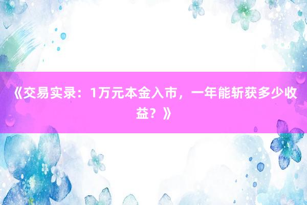 《交易实录：1万元本金入市，一年能斩获多少收益？》