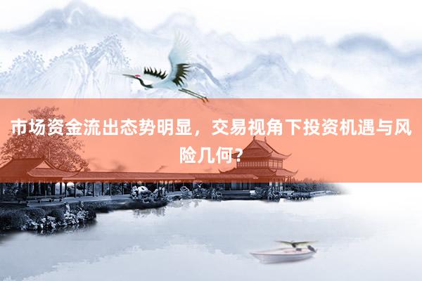 市场资金流出态势明显，交易视角下投资机遇与风险几何？