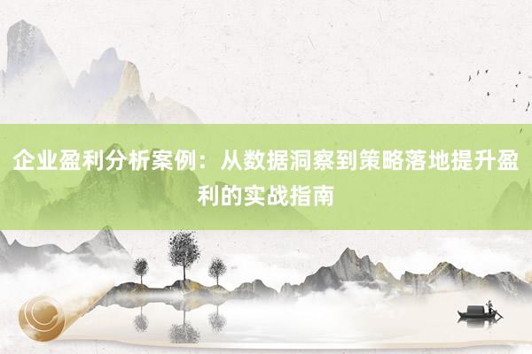 企业盈利分析案例：从数据洞察到策略落地提升盈利的实战指南