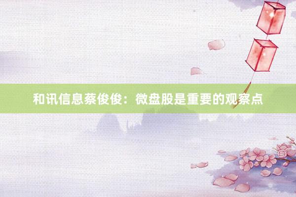 和讯信息蔡俊俊：微盘股是重要的观察点