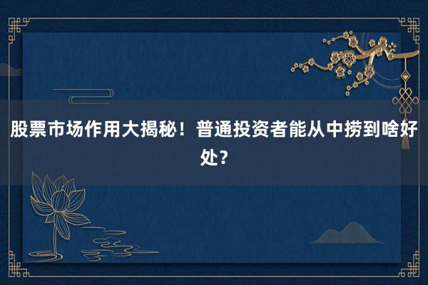 股票市场作用大揭秘！普通投资者能从中捞到啥好处？